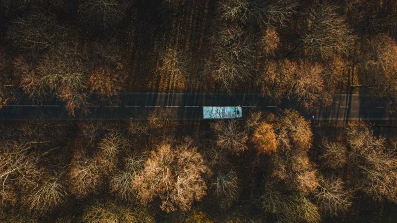 нелегальная миграция