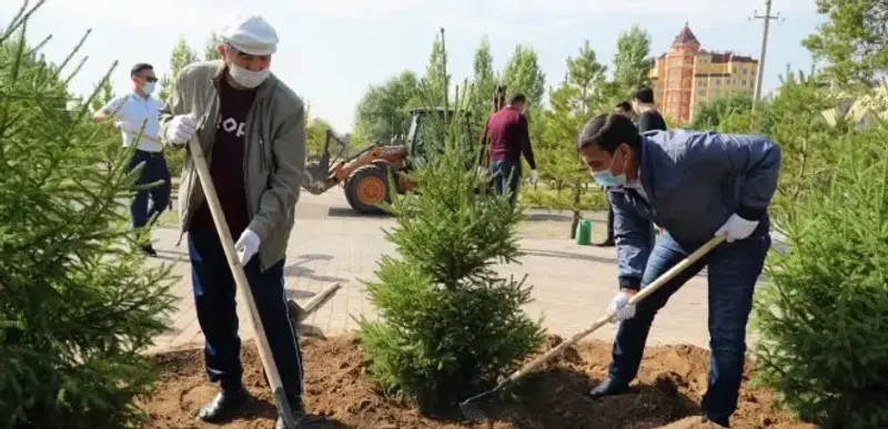 Кто отвечает за зеленые насаждения у дома