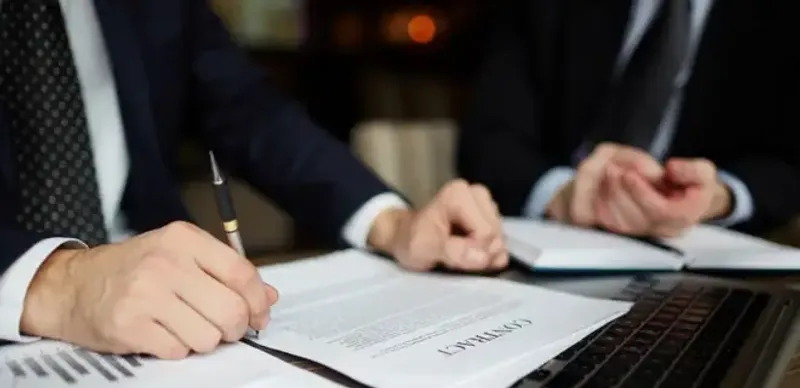 Какую налоговую отчетность нужно сдать до 15 августа