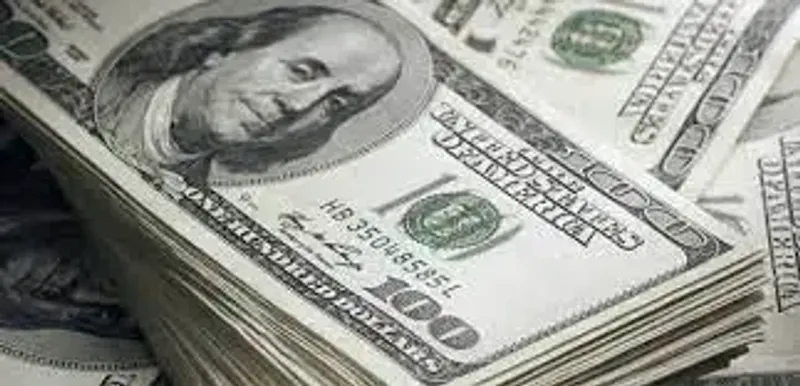 Минфин опубликовал реестр лиц, финансируемых иностранцами