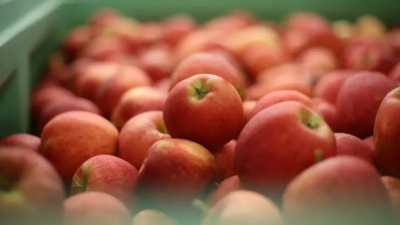 запрет импорта