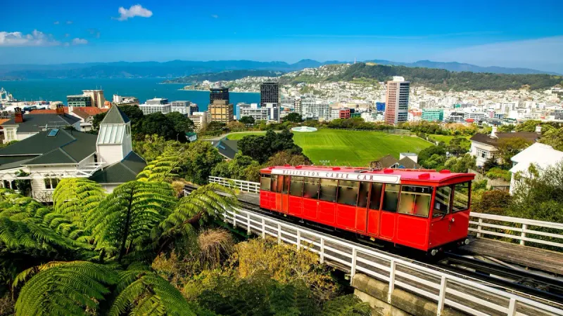 New Zealand government