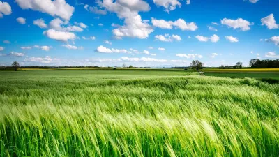 сельскохозяйственный надел