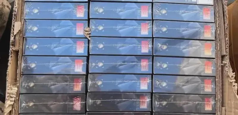 Россияне завозили в Казахстан контрафактные вейпы