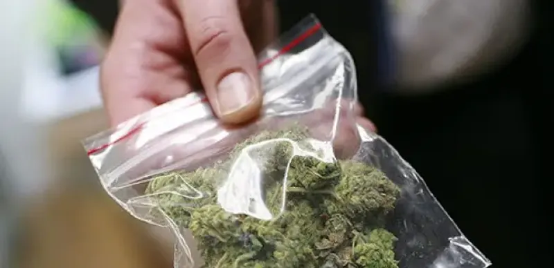 Жителя Усть-Каменогорска привлекли к общественным работам за хранение марихуаны