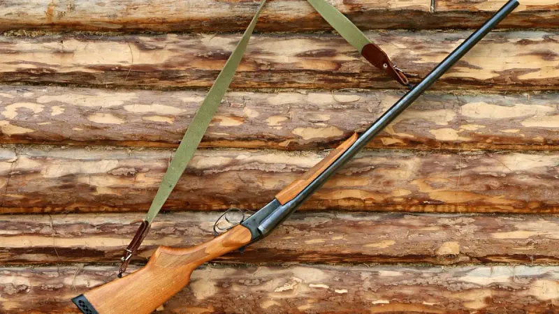 огнестрельное оружие