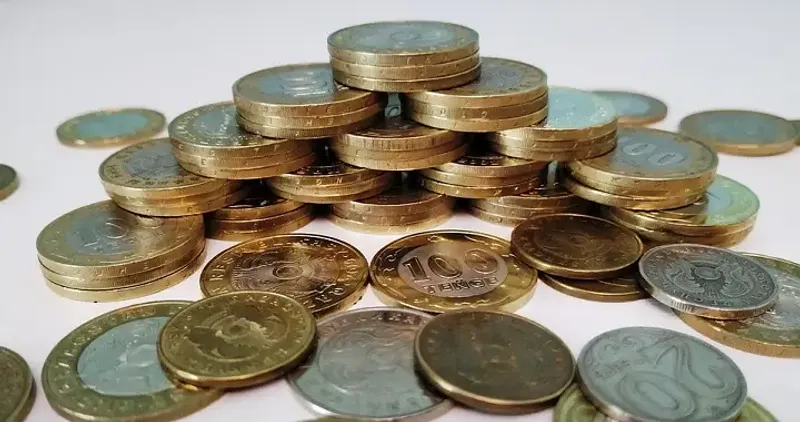 Столичный суд вынес приговор руководителю финпирамиды «Chia Tai Pharmaceutica»