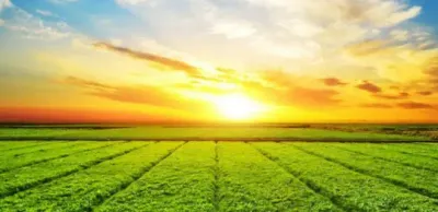 С начала 2022 года государству вернули 6,1 млн га неиспользуемых сельхозземель