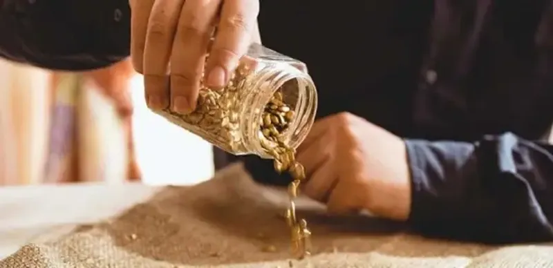 В Акмолинской области осудили пятерых грабителей ювелирного магазина